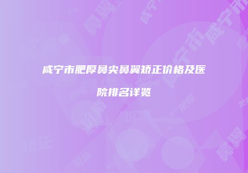 咸宁市肥厚鼻尖鼻翼矫正价格及医院排名详览