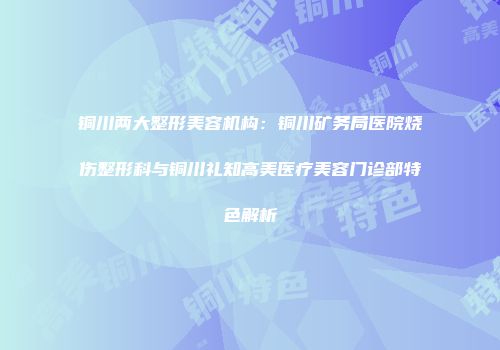 铜川两大整形美容机构：铜川矿务局医院烧伤整形科与铜川礼知高美医疗美容门诊部特色解析
