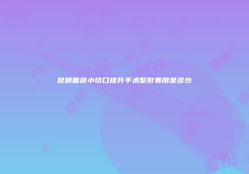 昆明面部小切口提升手术整形费用是多少
