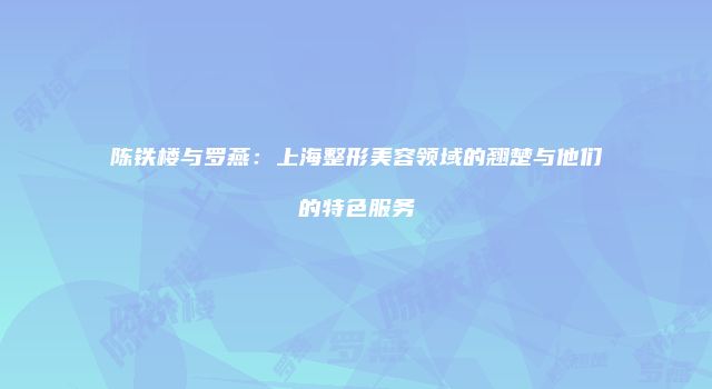 陈铁楼与罗燕：上海整形美容领域的翘楚与他们的特色服务