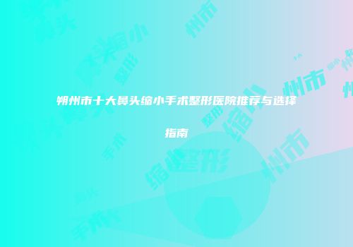 朔州市十大鼻头缩小手术整形医院推荐与选择指南