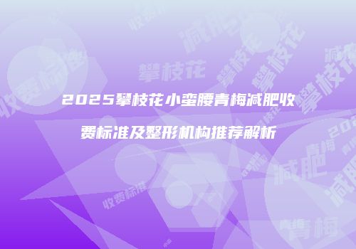 2025攀枝花小蛮腰青梅减肥收费标准及整形机构推荐解析