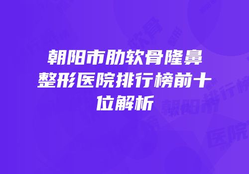 朝阳市肋软骨隆鼻整形医院排行榜前十位解析