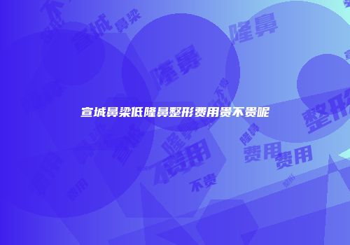 宣城鼻梁低隆鼻整形费用贵不贵呢