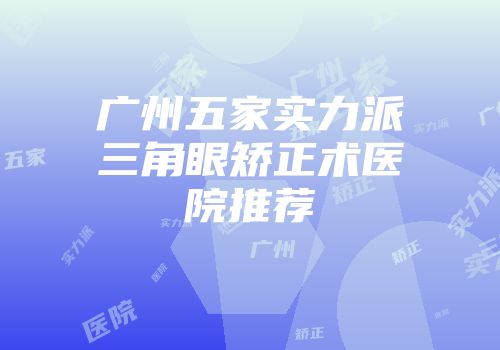 广州五家实力派三角眼矫正术医院推荐