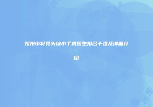 朔州市将鼻头缩小手术医生排名十强及详细介绍