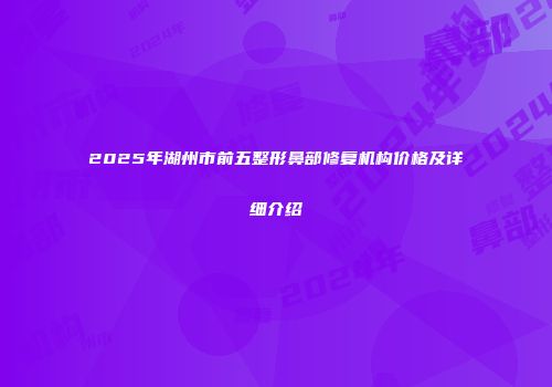2025年湖州市前五整形鼻部修复机构价格及详细介绍