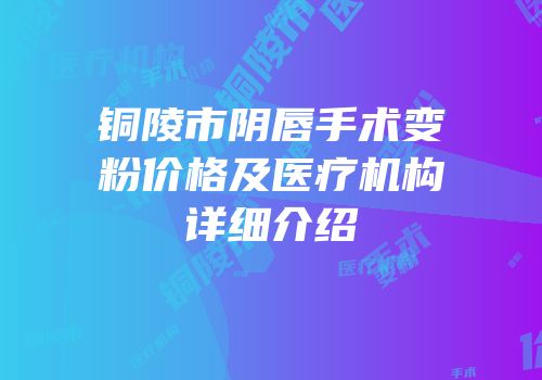 铜陵市阴唇手术变粉价格及医疗机构详细介绍