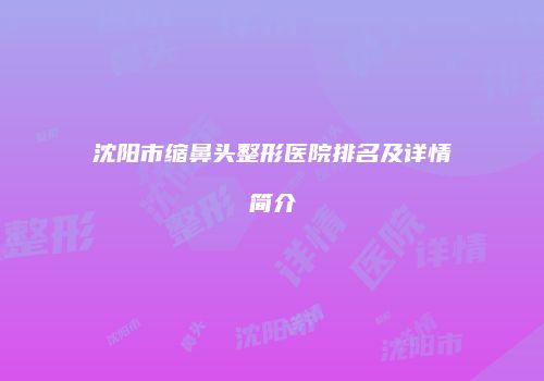沈阳市缩鼻头整形医院排名及详情简介