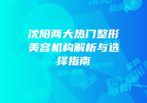 沈阳两大热门整形美容机构解析与选择指南