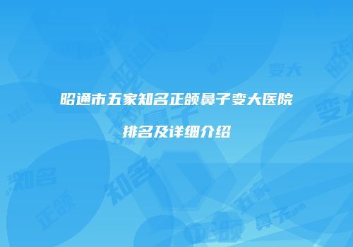 昭通市五家知名正颌鼻子变大医院排名及详细介绍