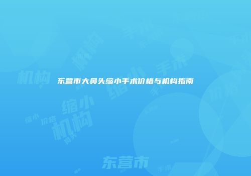 东营市大鼻头缩小手术价格与机构指南