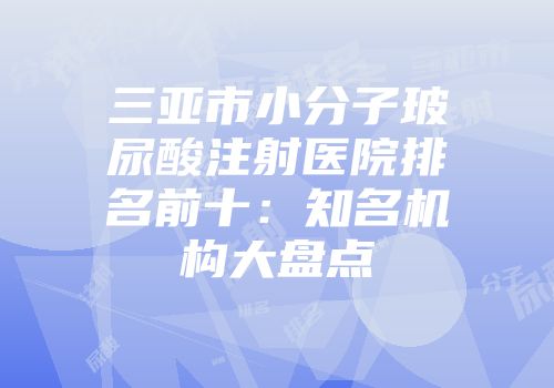 三亚市小分子玻尿酸注射医院排名前十：知名机构大盘点