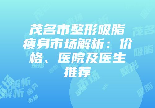 茂名市整形吸脂瘦身市场解析：价格、医院及医生推荐