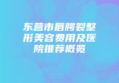 东营市唇腭裂整形美容费用及医院推荐概览