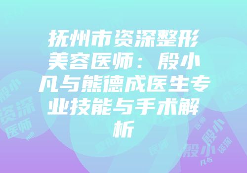 抚州市资深整形美容医师：殷小凡与熊德成医生专业技能与手术解析