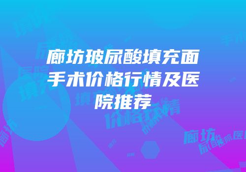 廊坊玻尿酸填充面手术价格行情及医院推荐