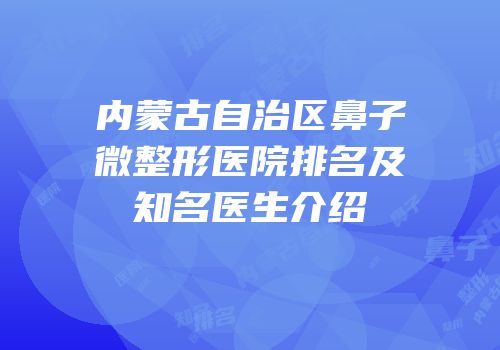 内蒙古自治区鼻子微整形医院排名及知名医生介绍