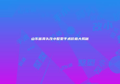 山东省鼻头改小整型手术价格大揭秘