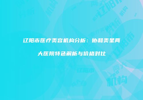 辽阳市医疗美容机构分析：协和美星两大医院特色解析与价格对比