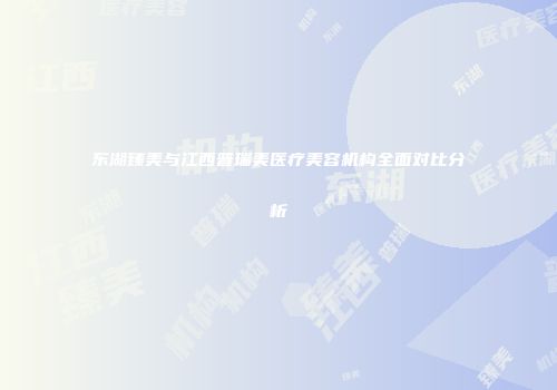 东湖臻美与江西普瑞美医疗美容机构全面对比分析