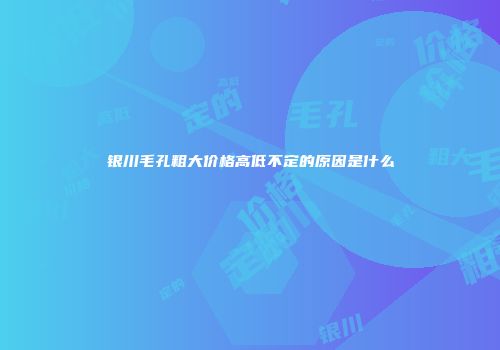 银川毛孔粗大价格高低不定的原因是什么