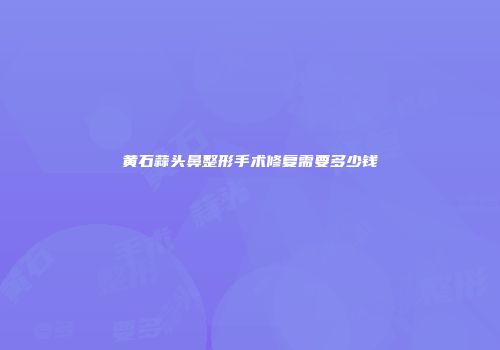 黄石蒜头鼻整形手术修复需要多少钱