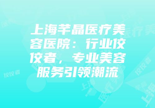 上海芊晶医疗美容医院：行业佼佼者，专业美容服务引领潮流
