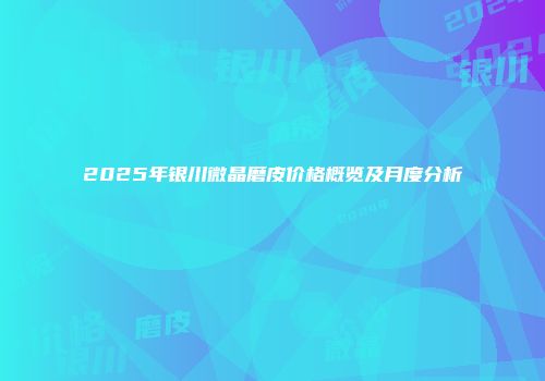 2025年银川微晶磨皮价格概览及月度分析