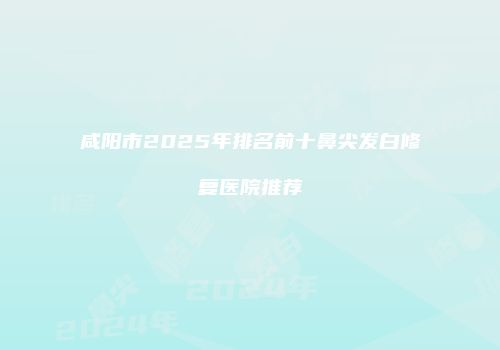 咸阳市2025年排名前十鼻尖发白修复医院推荐