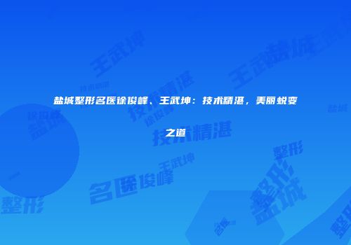 盐城整形名医徐俊峰、王武坤：技术精湛，美丽蜕变之道