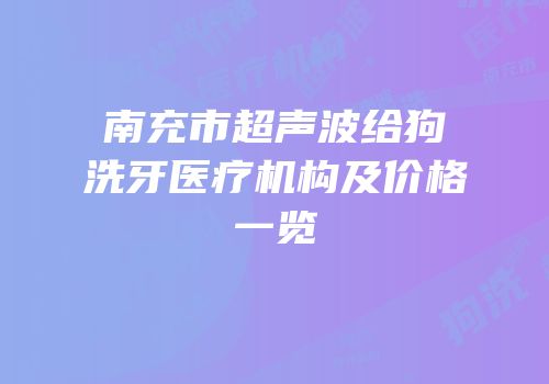 南充市超声波给狗洗牙医疗机构及价格一览