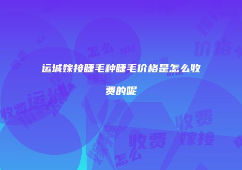运城嫁接睫毛种睫毛价格是怎么收费的呢