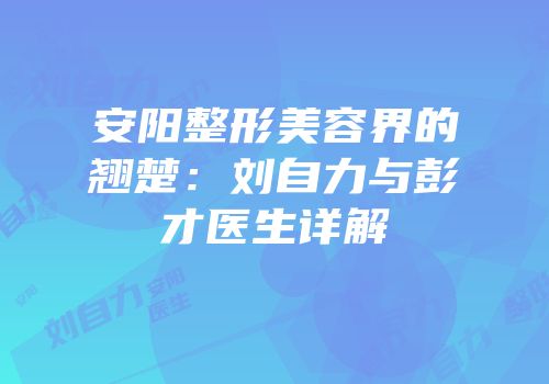 安阳整形美容界的翘楚：刘自力与彭才医生详解