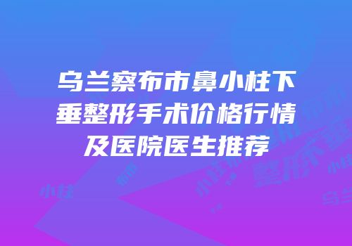 乌兰察布市鼻小柱下垂整形手术价格行情及医院医生推荐
