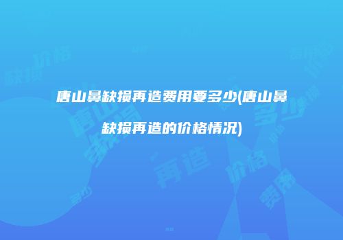 唐山鼻缺损再造费用要多少(唐山鼻缺损再造的价格情况)