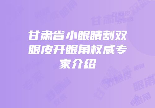 甘肃省小眼睛割双眼皮开眼角权威专家介绍