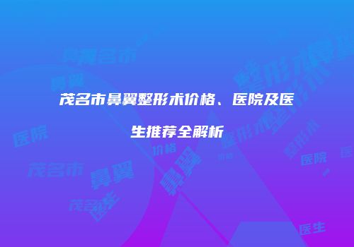 茂名市鼻翼整形术价格、医院及医生推荐全解析