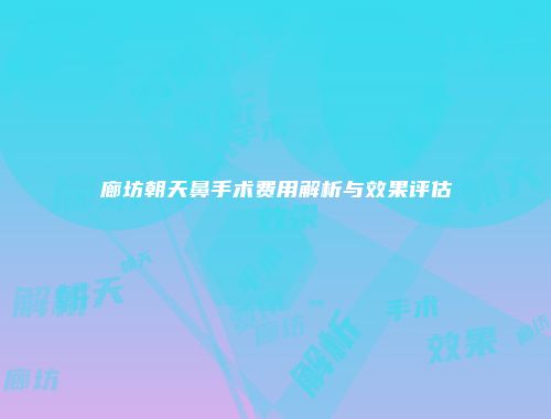 廊坊朝天鼻手术费用解析与效果评估