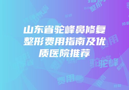 山东省驼峰鼻修复整形费用指南及优质医院推荐