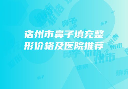 宿州市鼻子填充整形价格及医院推荐