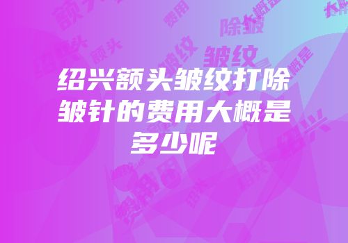 绍兴额头皱纹打除皱针的费用大概是多少呢