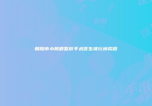 朝阳市小阴唇整形手术医生排行榜揭晓