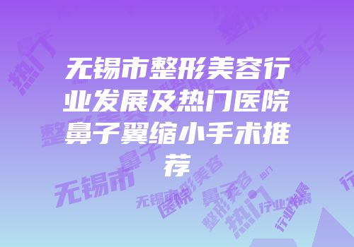 无锡市整形美容行业发展及热门医院鼻子翼缩小手术推荐