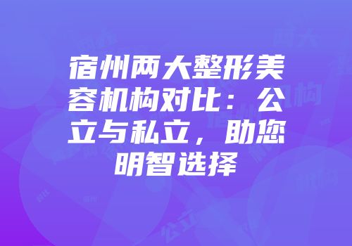宿州两大整形美容机构对比：公立与私立，助您明智选择