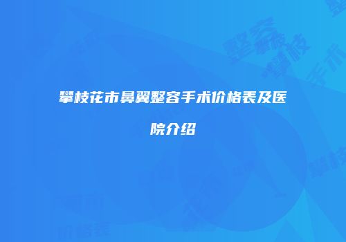 攀枝花市鼻翼整容手术价格表及医院介绍