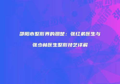邵阳市整形界的翘楚：张红弟医生与张少林医生整形技艺详解