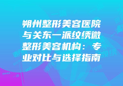 朔州整形美容医院与关东一派纹绣微整形美容机构：专业对比与选择指南