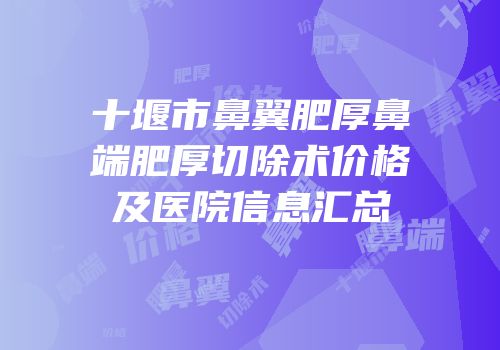 十堰市鼻翼肥厚鼻端肥厚切除术价格及医院信息汇总