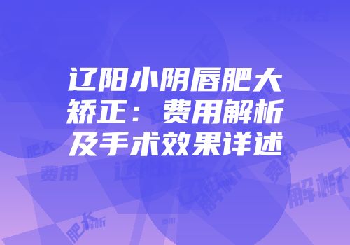 辽阳小阴唇肥大矫正：费用解析及手术效果详述